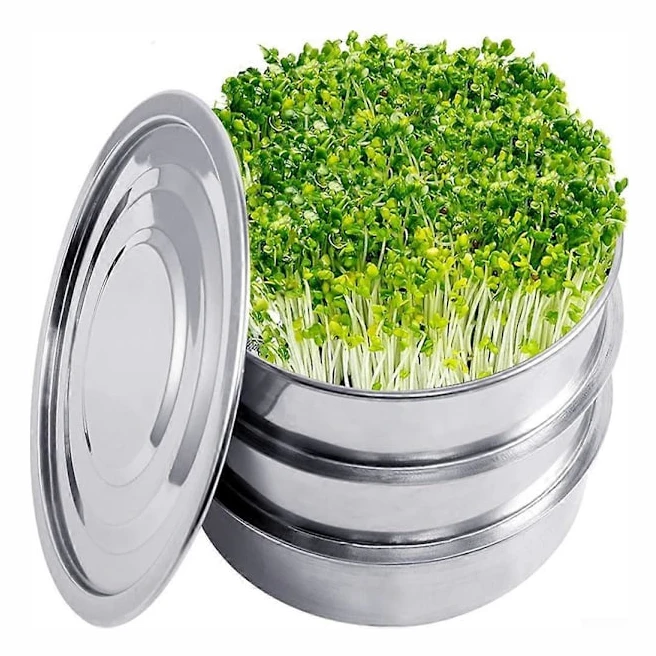 3-Tier Stainless Steel Sprouting Kit with Enhanced Drainage for Indoor Seed Growing