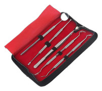 5-pack Professionella Tandläkarverktyg i Rostfritt Stål - Set för Tandhygien och Rengöring