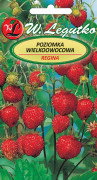 Regina jordgubbsfrön, röd frukt, stora 0,1 g