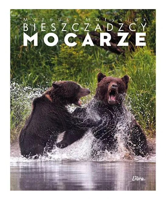 De mäktiga Bieszczady-björnarna