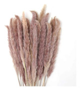 30 Pieces Pampas Grass, 60 cm Natural Pampas Flower Dried Flower Bouquet for Vases, Boho Decoration for Bedroom, Home, Living Room