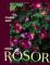 Vildare rosor
