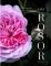 Om rosor