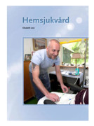 Hemsjukvård (E Levy)
