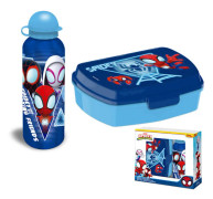 Spiderman blue lunch box and aluminum bottle set