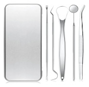 Verktyg för Tandrengöring, 5-pack Silver