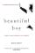 Beautiful Boy (Bok / Pocket)