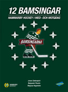 12 Bamsingar : Hammarby Hockey i med- och motgångar (inbunden)