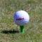 Golfpeggar i plast / Castlepeggar 23 mm (25 st)