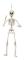 Halloween Skelett 50cm