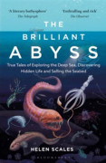 Brilliant Abyss