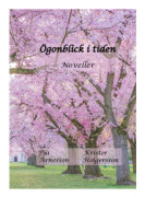 Ögonblick i tiden