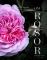Om Rosor (Bok / Inbunden)