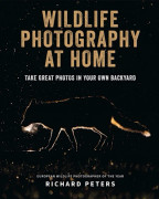 Wildlife Photography at Home