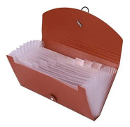 Small Expandable Polypropylene Folder (Brown-Red), Portable Accordion Case with Elastic Cord Closure, Cla