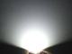 Canbus C5W 31mm Led 6000K 31 mm 2-pack