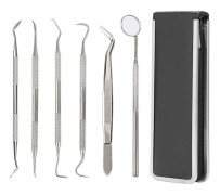 Professional Dental Hygiene Tool Kit 6 Pieces with Case