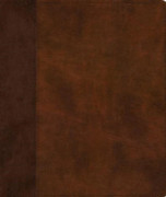ESV Journaling Bible