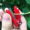 2-piece Mini Harvesting Tool | Garden Harvesting Tool Separator for Trimming Pruning, Stainless Steel Clipper for Plant Pruning, 1 Pair