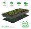 Elektrisk värmematta för 1 rum, uppvärmd matta för plantor med elektronisk trädgårdsodling och groddning med förvaringsväska 50 x 52,5 cm