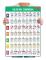 Junlego Guitar Chord Chart Poster For Beginner And Portable A4 Laminated Chord Brand New