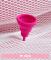 INTIMINA Lily Cup Compact B