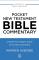 Pocket New Testament Bible Commentary