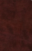 ESV Large Print Thinline Bible