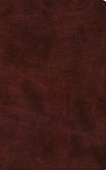 ESV Large Print Thinline Bible