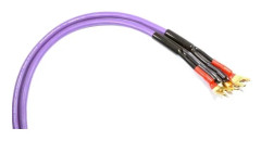Melodika Fork - Gaffelkabel 2,5 m lila