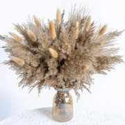 50 st Torkade Blommor Bukett - Pampasgräs, Harsvansar och Vassgräs för Heminredning, Naturlig Boho Blomsterarrangemang