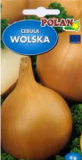 Nasiona Allium cepa - lökfrö 5g