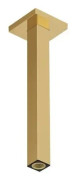 Duschbåge 300 mm/1/2" huvudbricka guld