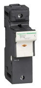 Schneider Electric DF22, 1P, 690 V, 8 kV, 690 V, 125 A, 960 ° C