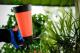 Kwazar Manual compression sprayer Venus Super 360 1.5L NBR (202-6030-20-0031)