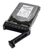 CoreParts - Hårddisk - 600 GB - hot-swap - SAS - 15000 rpm - för Dell PowerEdge 29XX, R900, R905, T300, T605; PowerVault DP100, DP600, NF100, NF600...