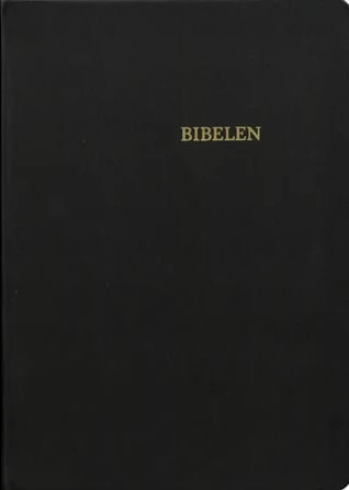 Bibeln i svart skinn