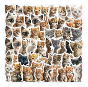 50/100 vattentäta vinylklistermärken, söt katt tecknad klistermärkessamling, lämplig för bagage, mobiltelefoner, bärbara datorer, vattenflaskor, etc. TQ50-0474