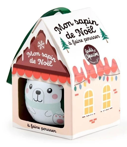 Odling kit - Gran - Julgran - Grön - Inomhus