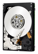 Lenovo - Hårddisk - 300 GB - hot-swap - 2.5" SFF - SAS 6Gb/s - 10000 rpm - för Storwize V3500; Storwize V3700