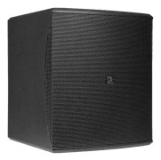 Audac BASO12 - Subwoofer - för PA-system - 500 Watt - 12" - svart, RAL 9004