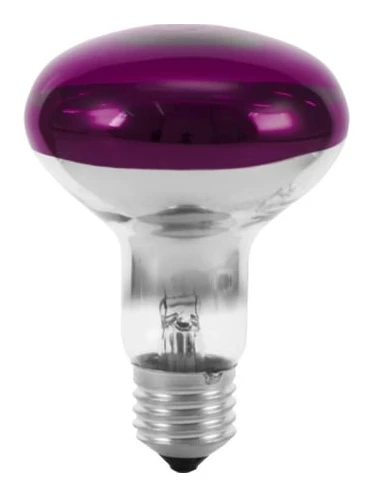 Eurolite 9210440U reflektorlampa E27 60 W violett Ø80x110 mm 1 st