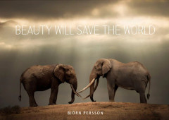 Beauty will save the world
