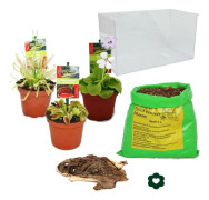 Köttätande växter - Akvarium för egen plantering - medel