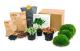 Green Your Bottle komplett set för din flaschengård utan glas 3 växter (kaffeväxt + 2x Fittonia)