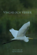 Vingar och verser