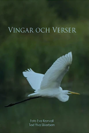 Vingar och verser
