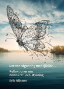 Det var någonting med fjärilar : reflektioner om demokrati och styrning