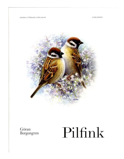 Pilfink