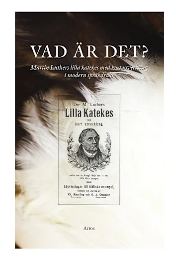 Vad är det? : Martin Luthers lilla katekes med kort utveckling i modern språkdräkt
